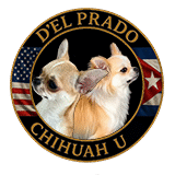 cropped-logo-160.png