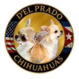 cropped-logo-dorado-01.png